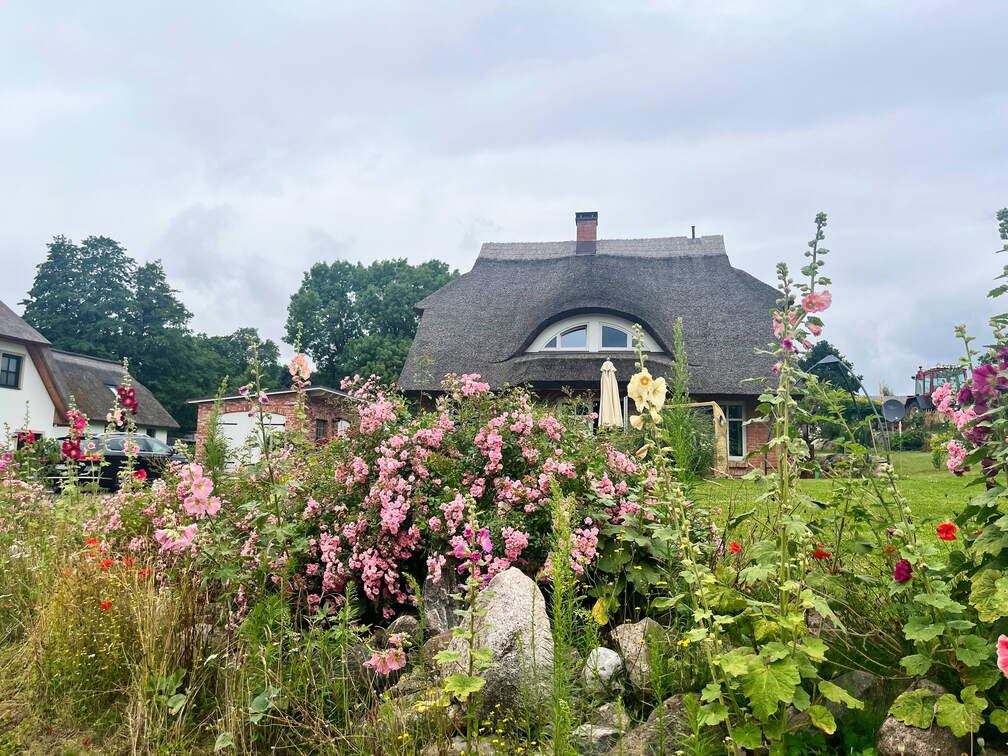 24-07-03 11-56-37 0153